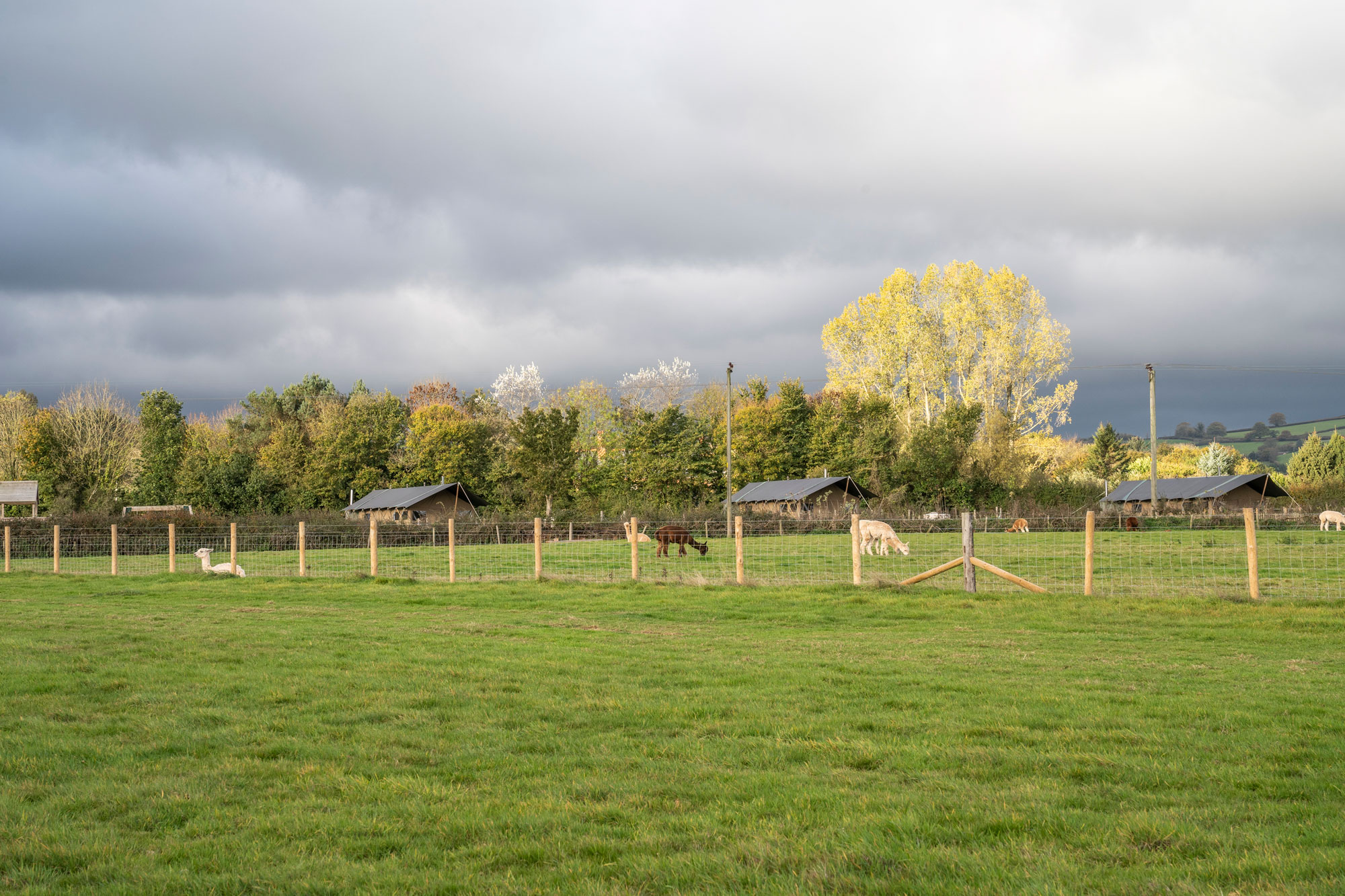 Middlestone Farm – Glamping in the English countryside by Soonafternoon