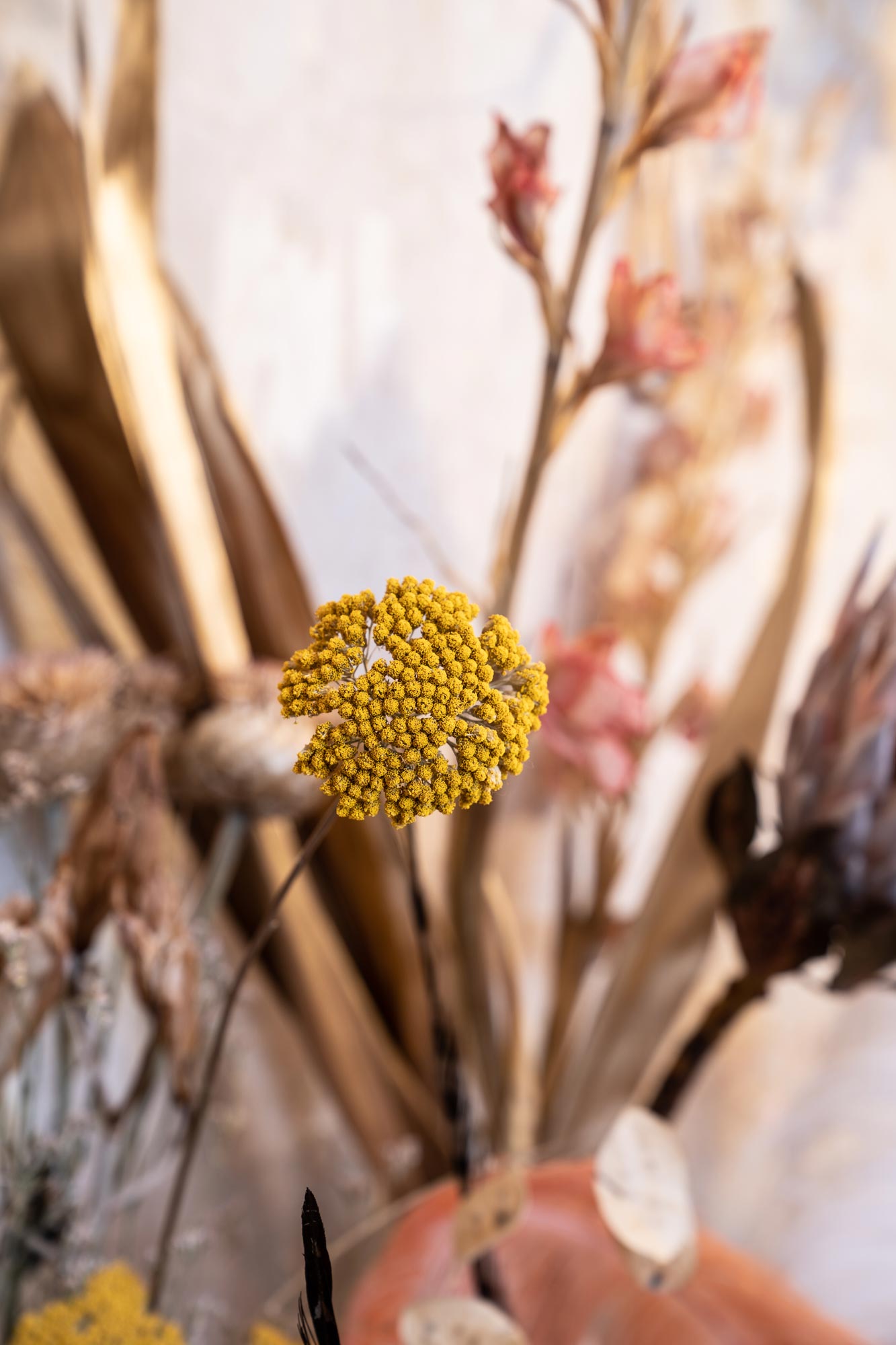 Studio of Botanical Stylist & Creative Director Maggie Coker