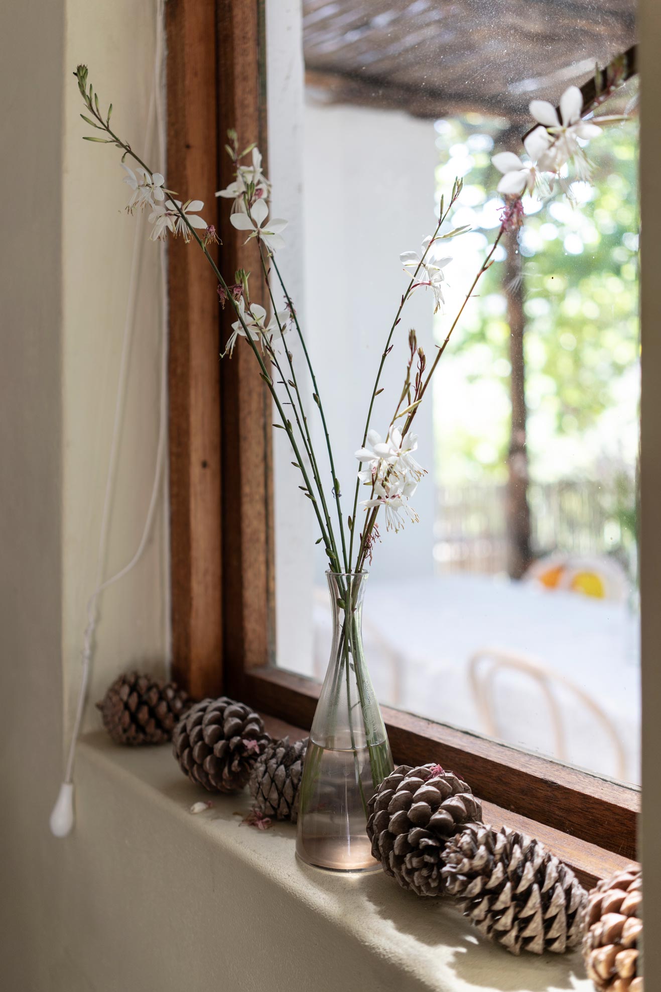 Window decorated with flowers and pine cones