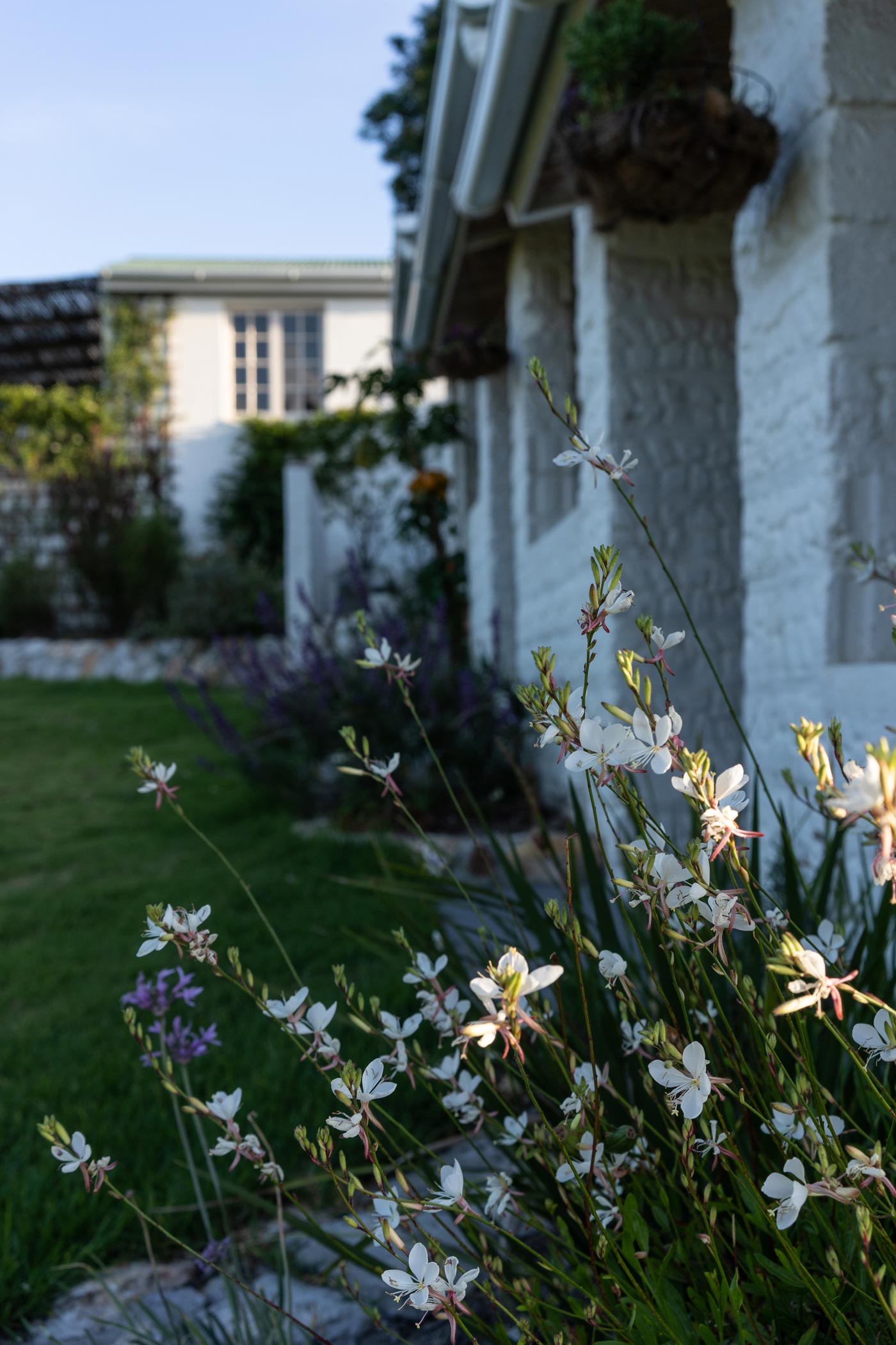 Gardens at Laughing Waters farm cottages