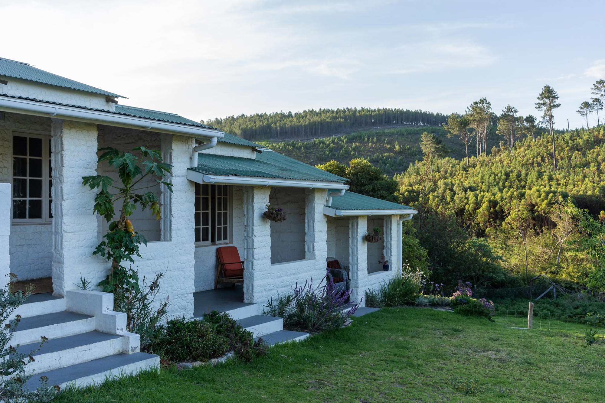 Laughing Waters farm cottages