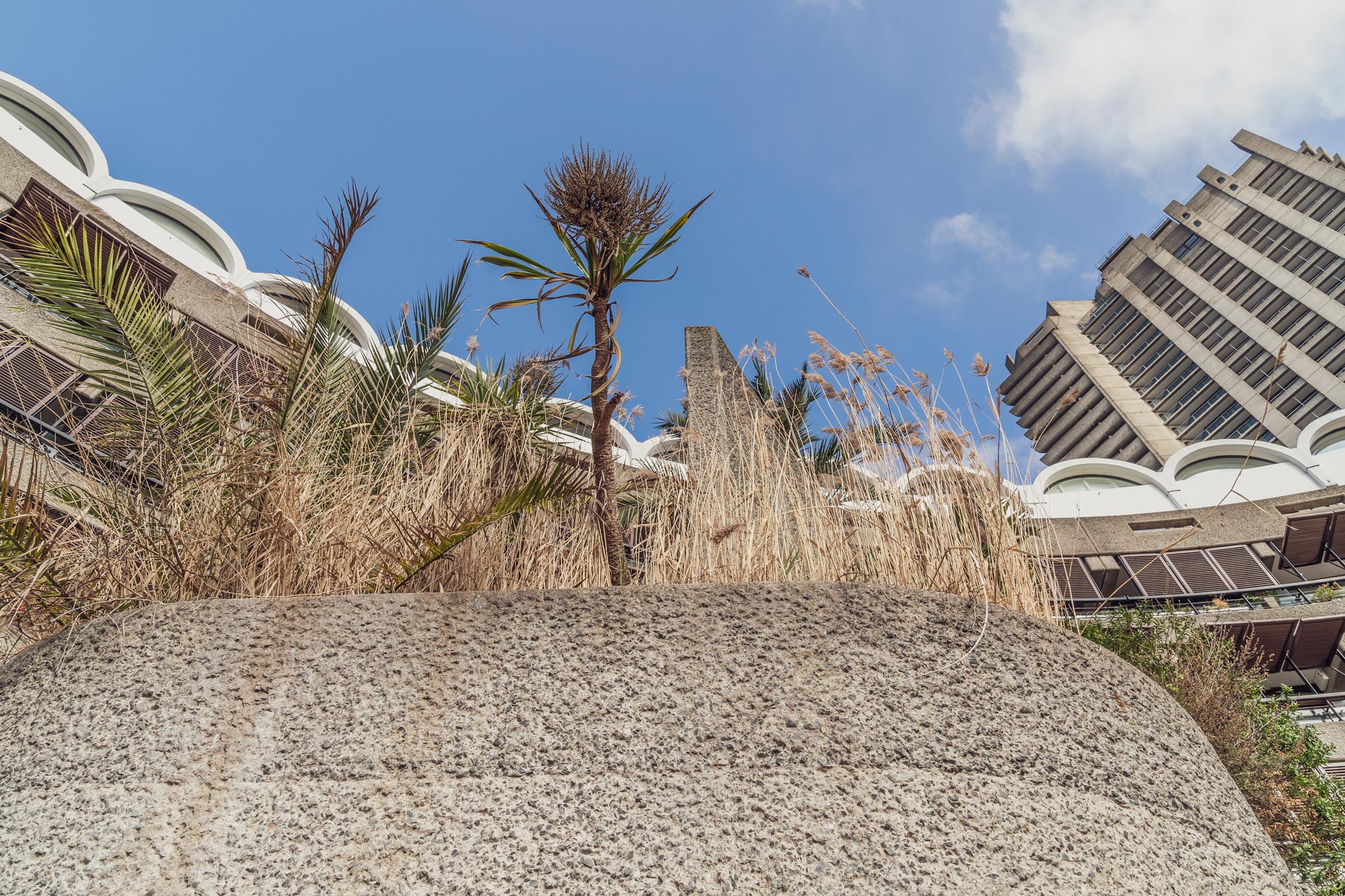 Gardens of Barbican Center in London