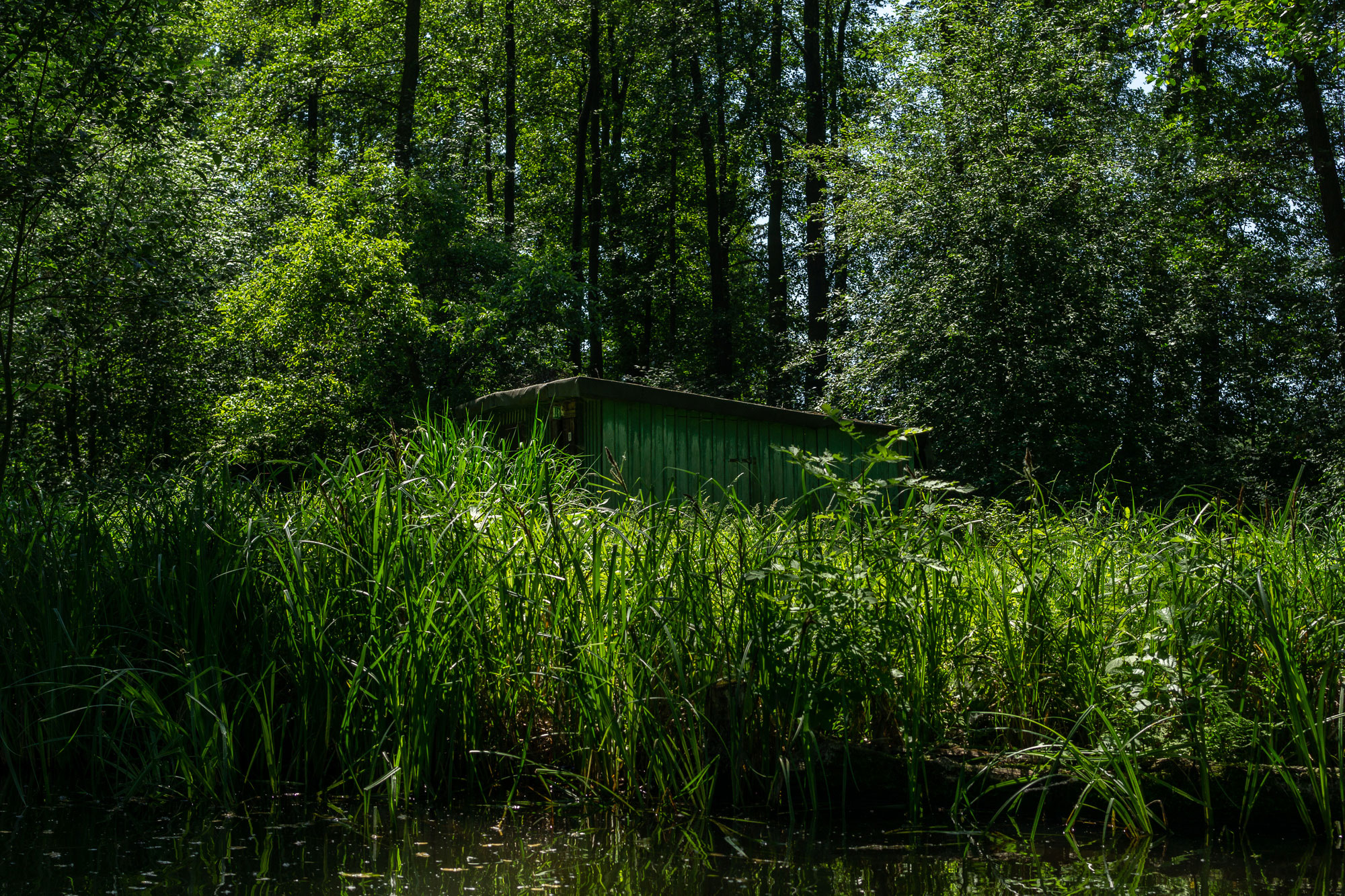 Spreewald Biosphere, Brandenberg