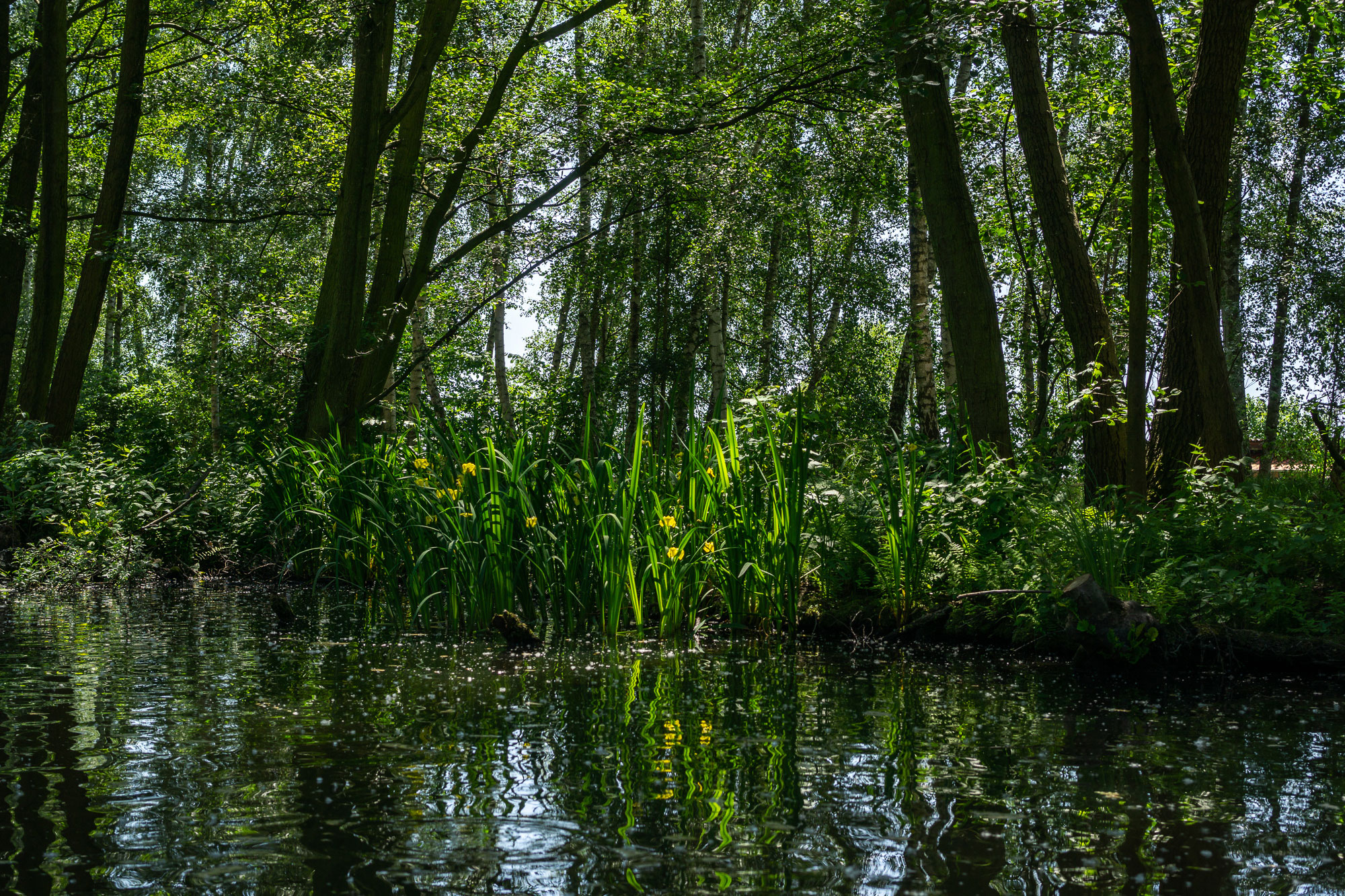 Spreewald Biosphere, Brandenberg