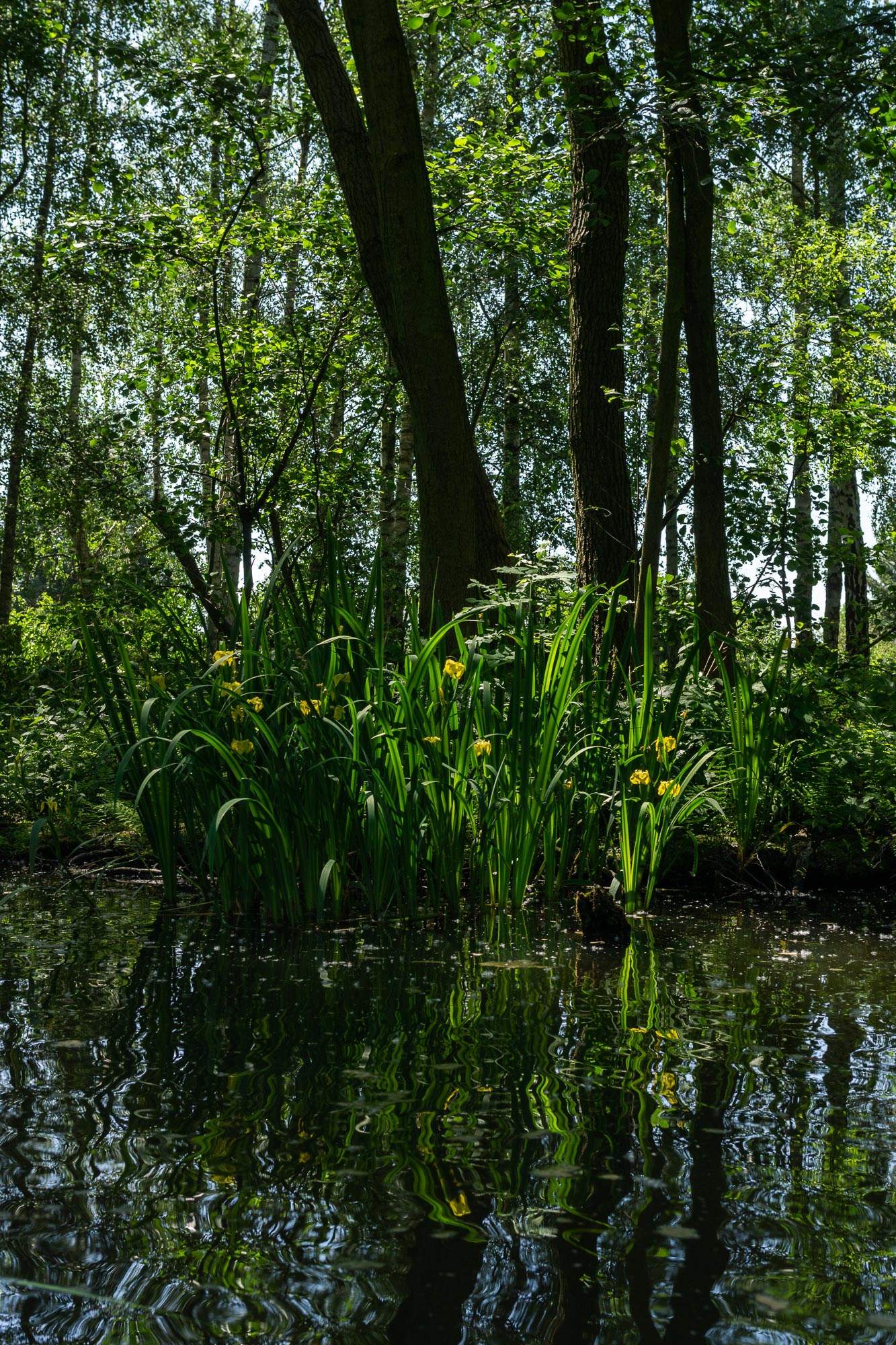 Spreewald Biosphere, Brandenberg