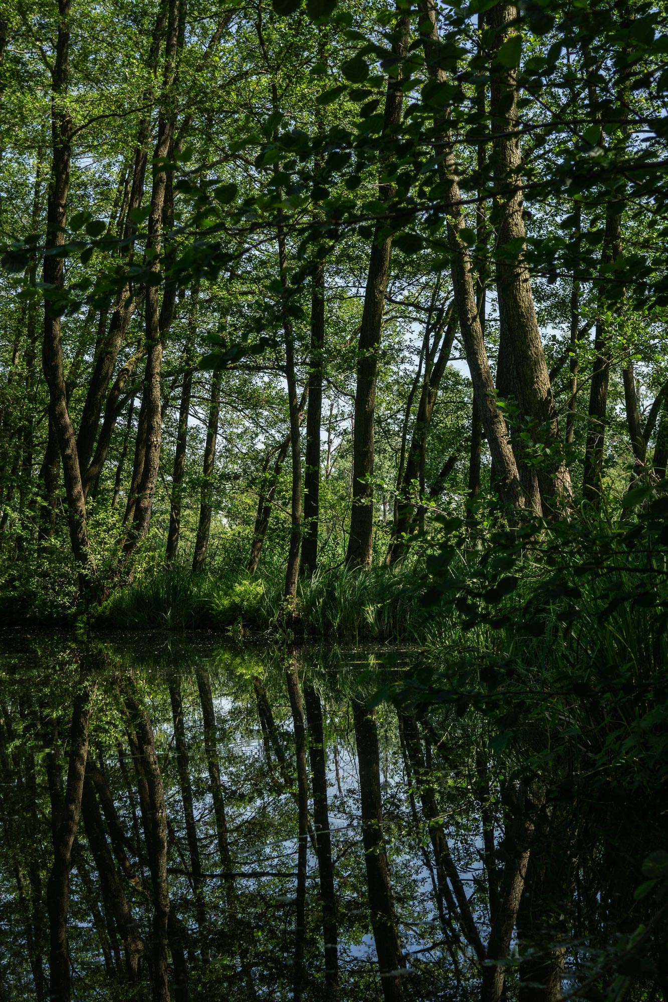 Spreewald Biosphere, Brandenberg