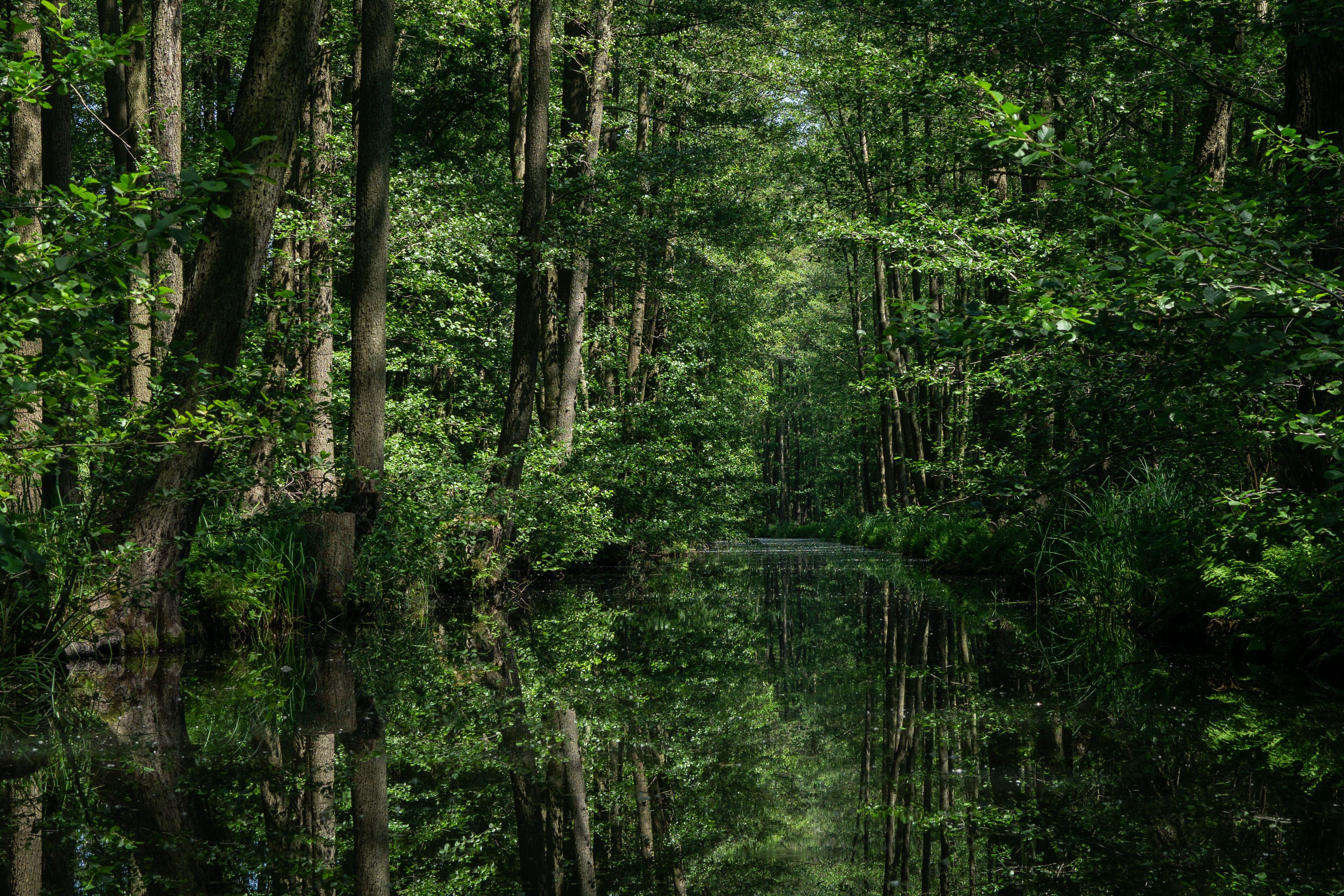 Spreewald Biosphere, Brandenberg