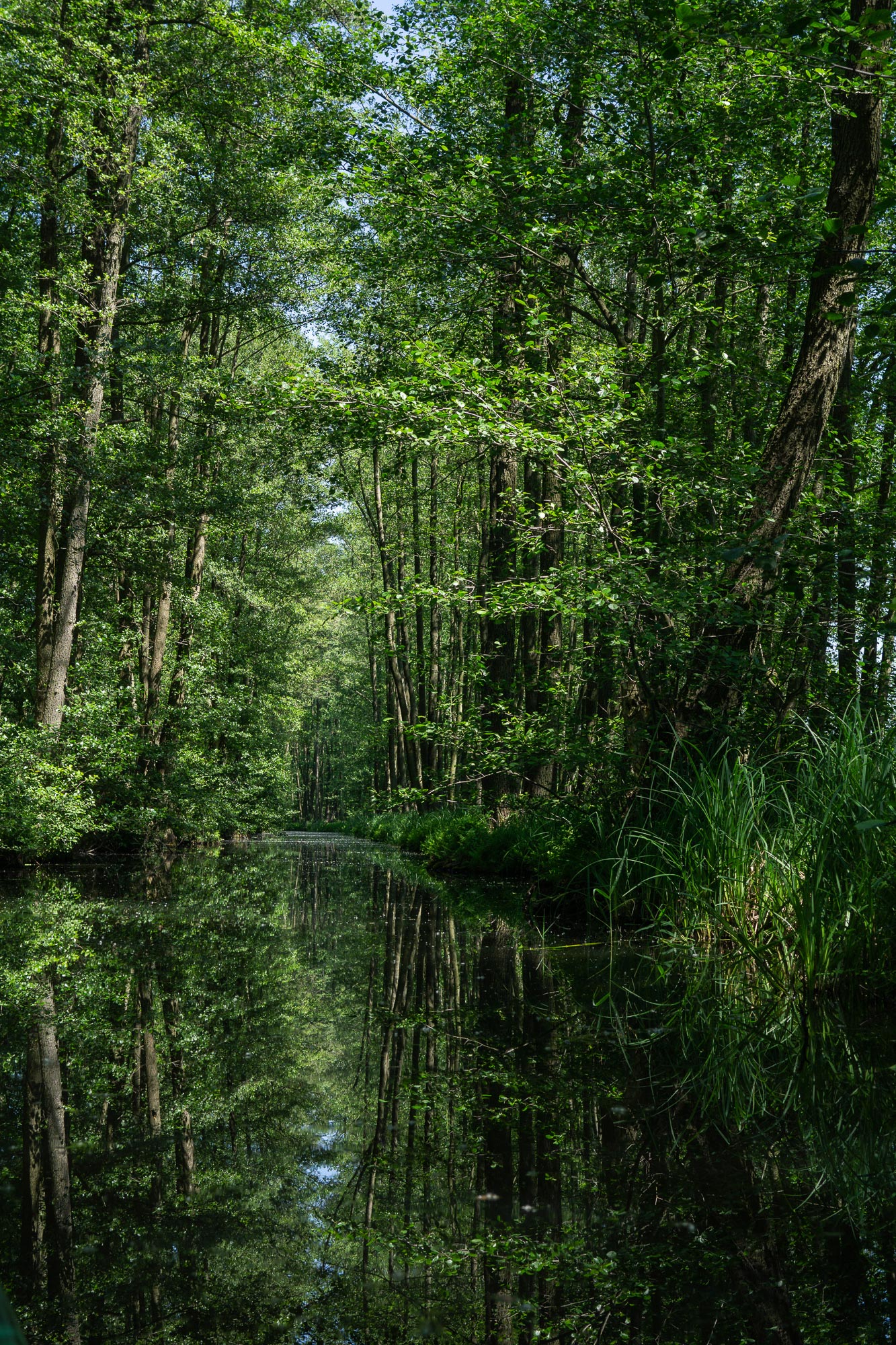 Spreewald Biosphere, Brandenberg