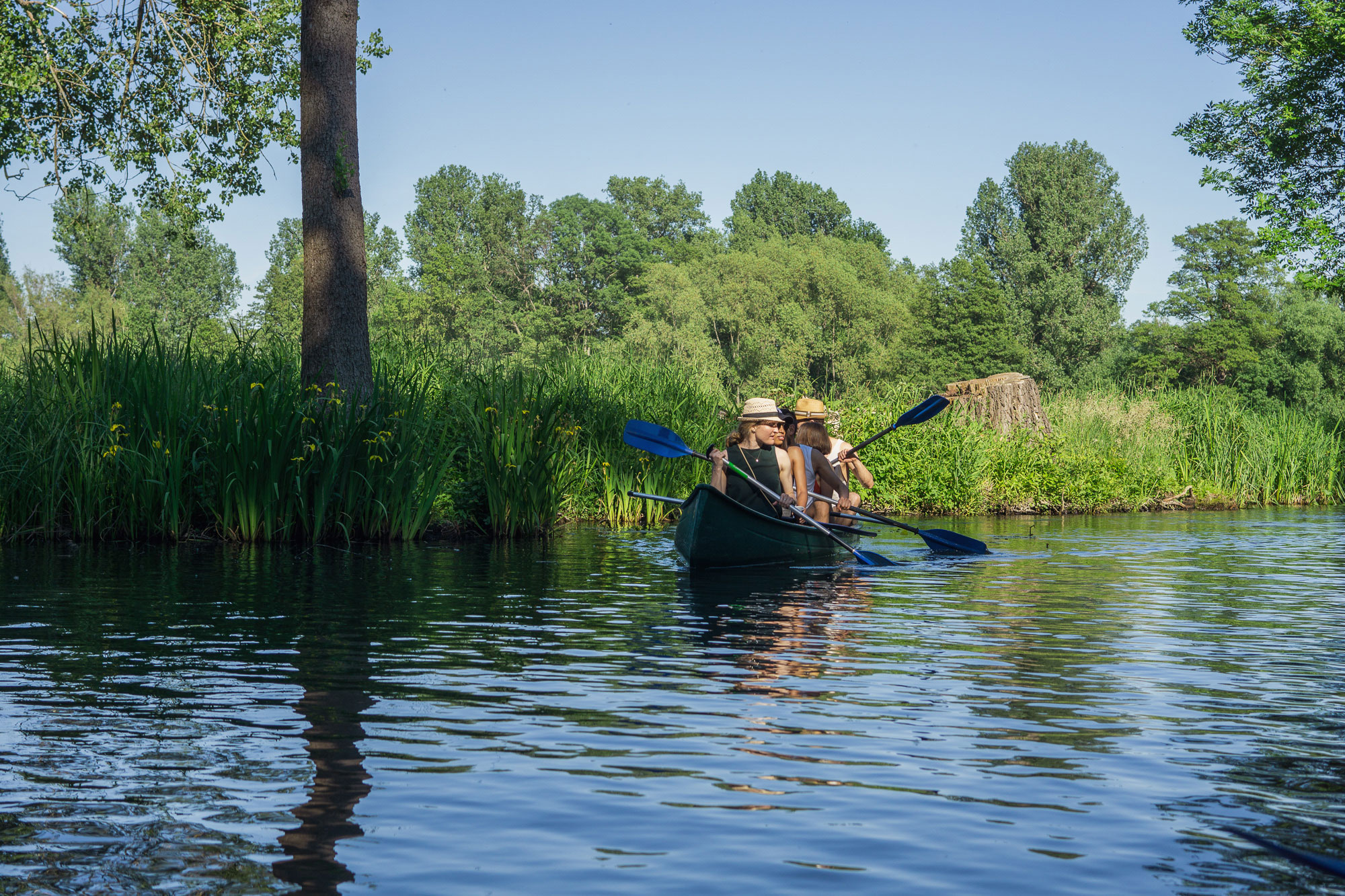 Kanooing in Spreewald