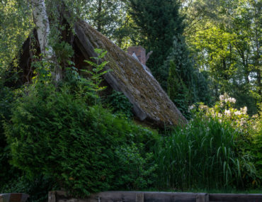 The Spreewald