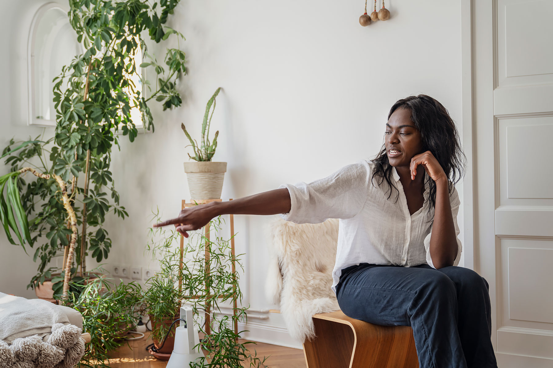 The Tragic Story of My First Bonsai - Laidback Gardener