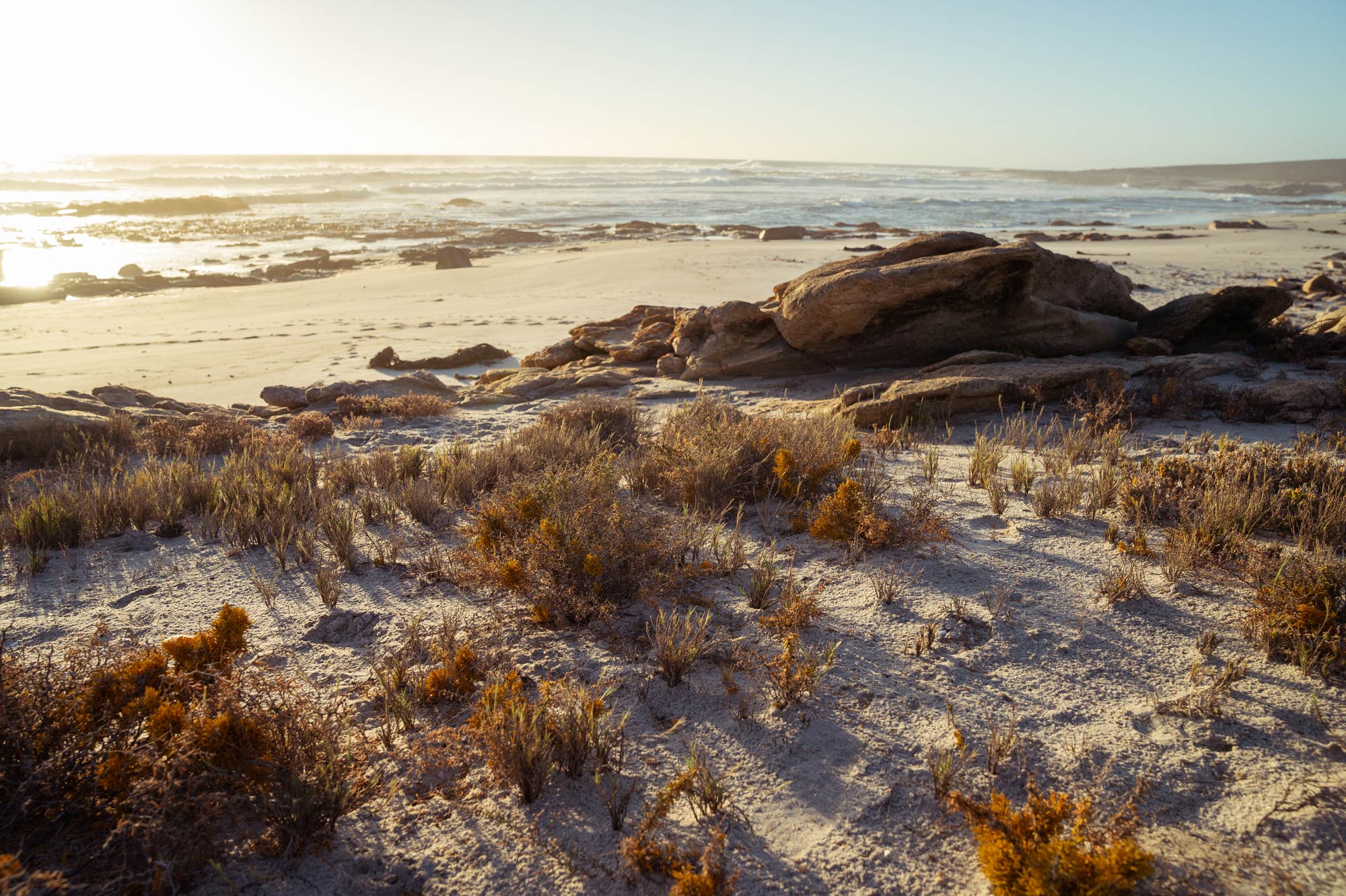 Namaqua National Park Image Copyright Soonafternoon