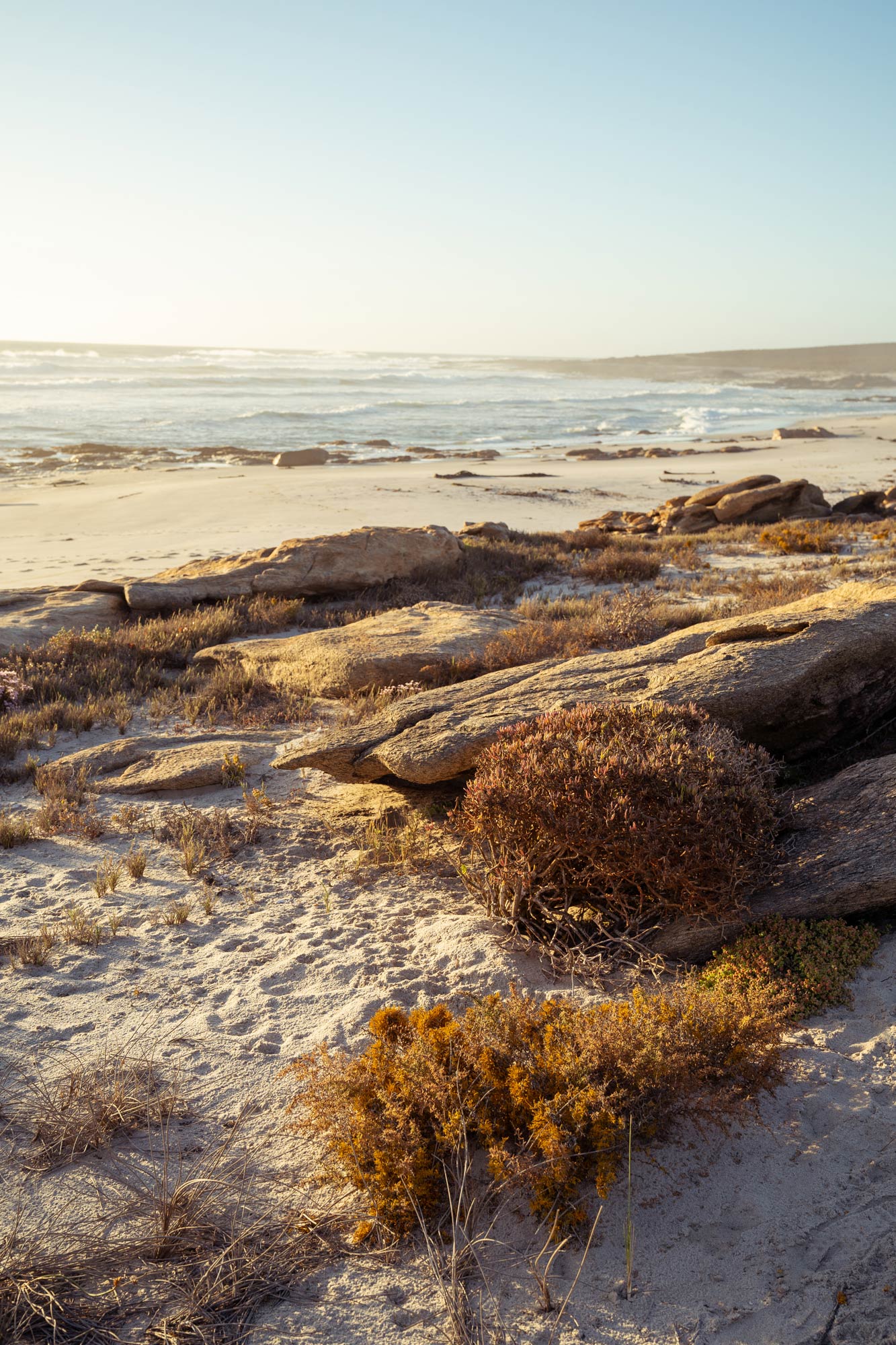 The Namaqua National Park Image Copyright Soonafternoon