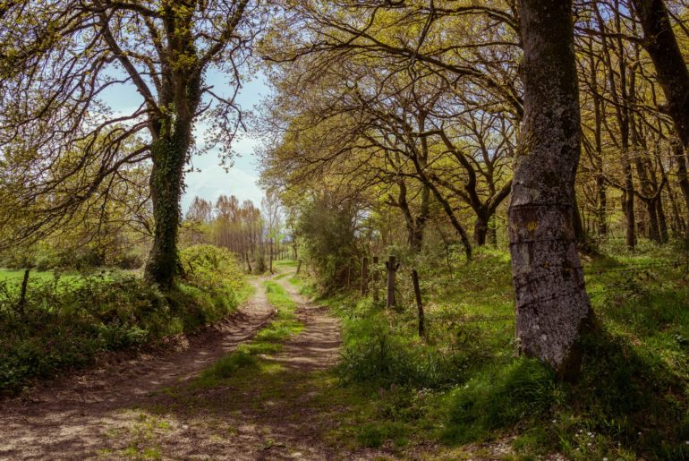 Lessons from the long road Road on the Camino de Santiago