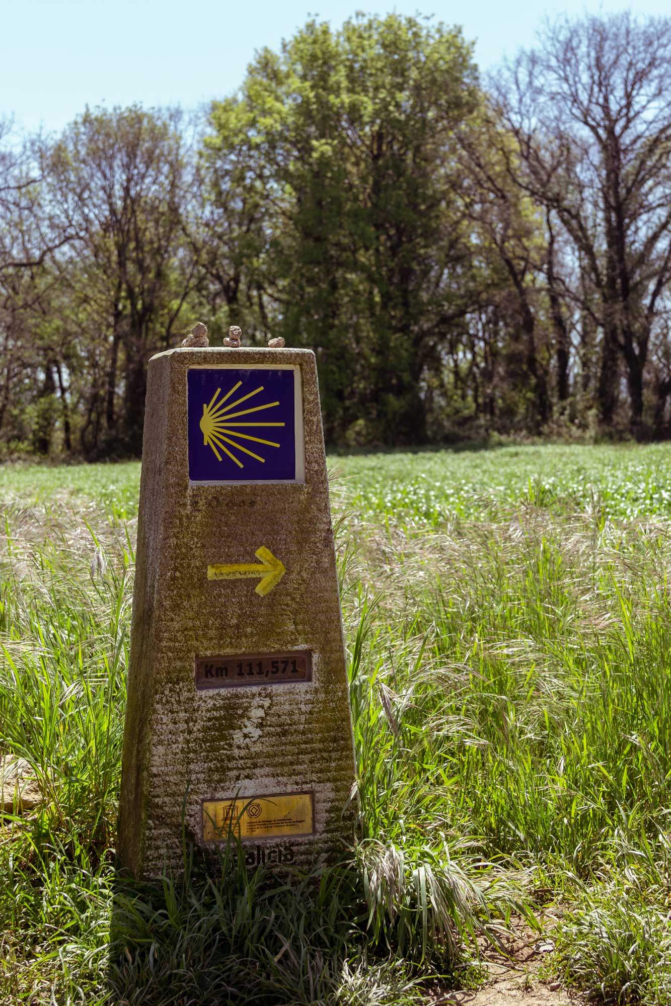 Signage of the Camino de Santiago