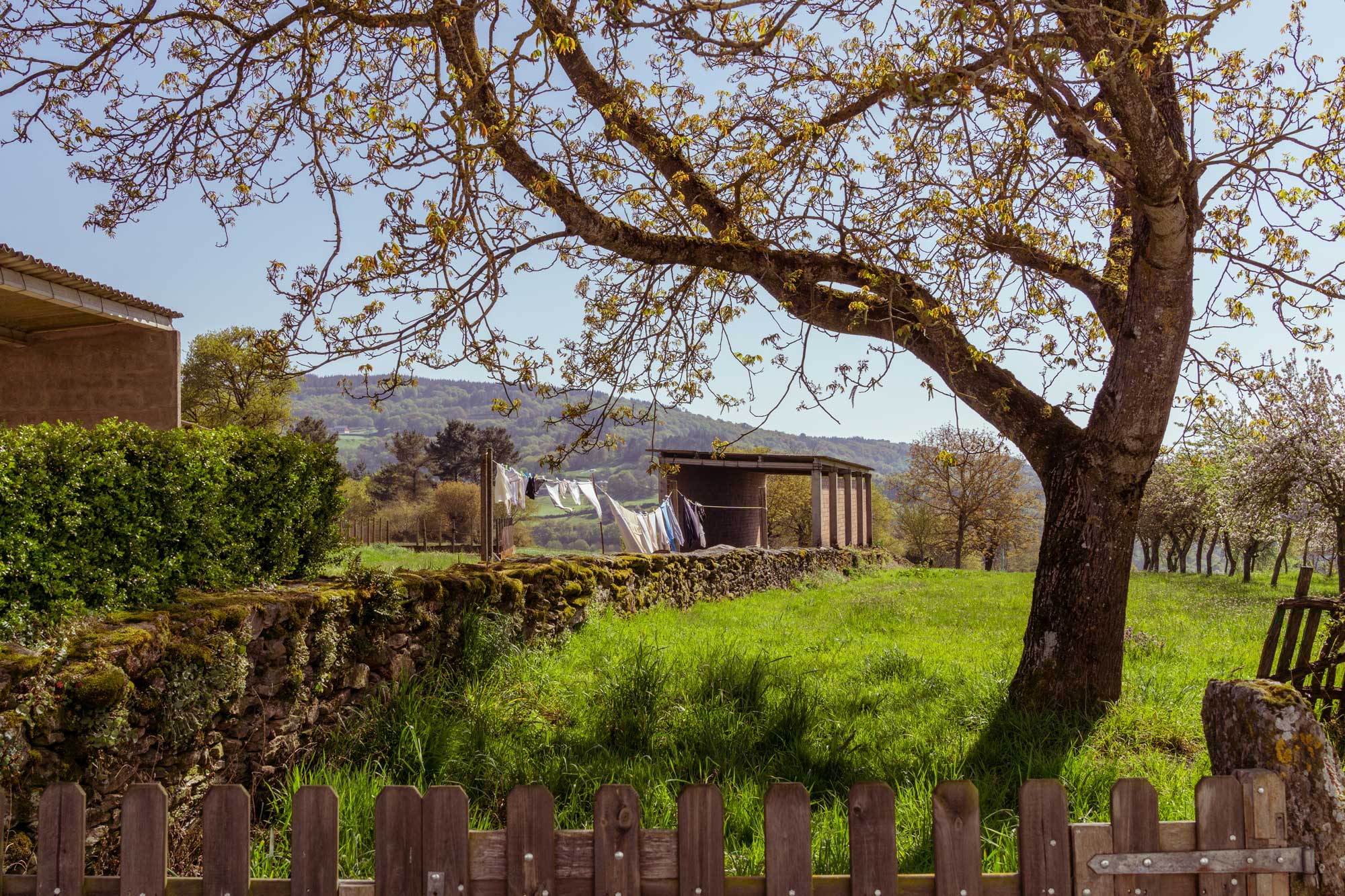 Views of the Camino de Santiago