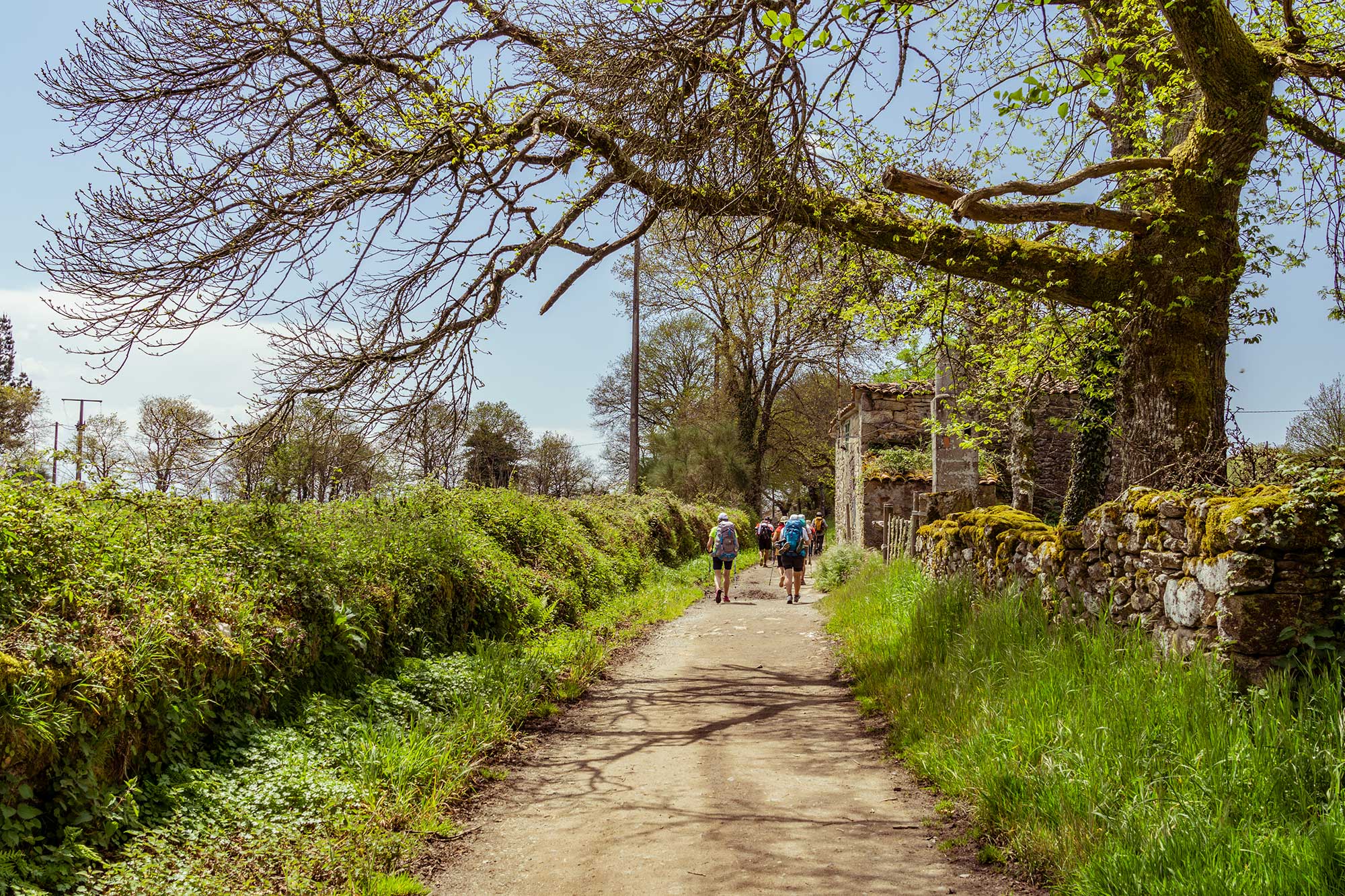 Modern day Pilgrims on the Camino de Santiago