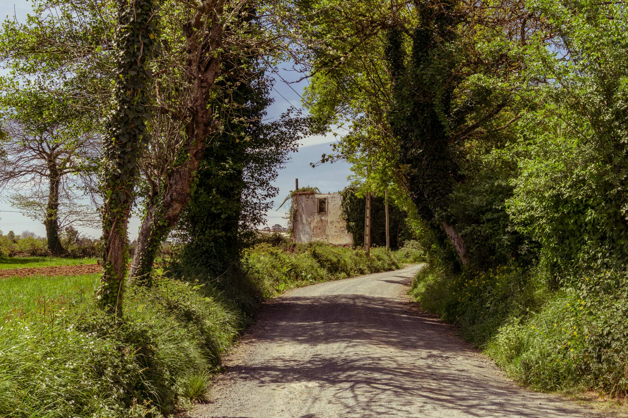 Pilgrimage of Compostela