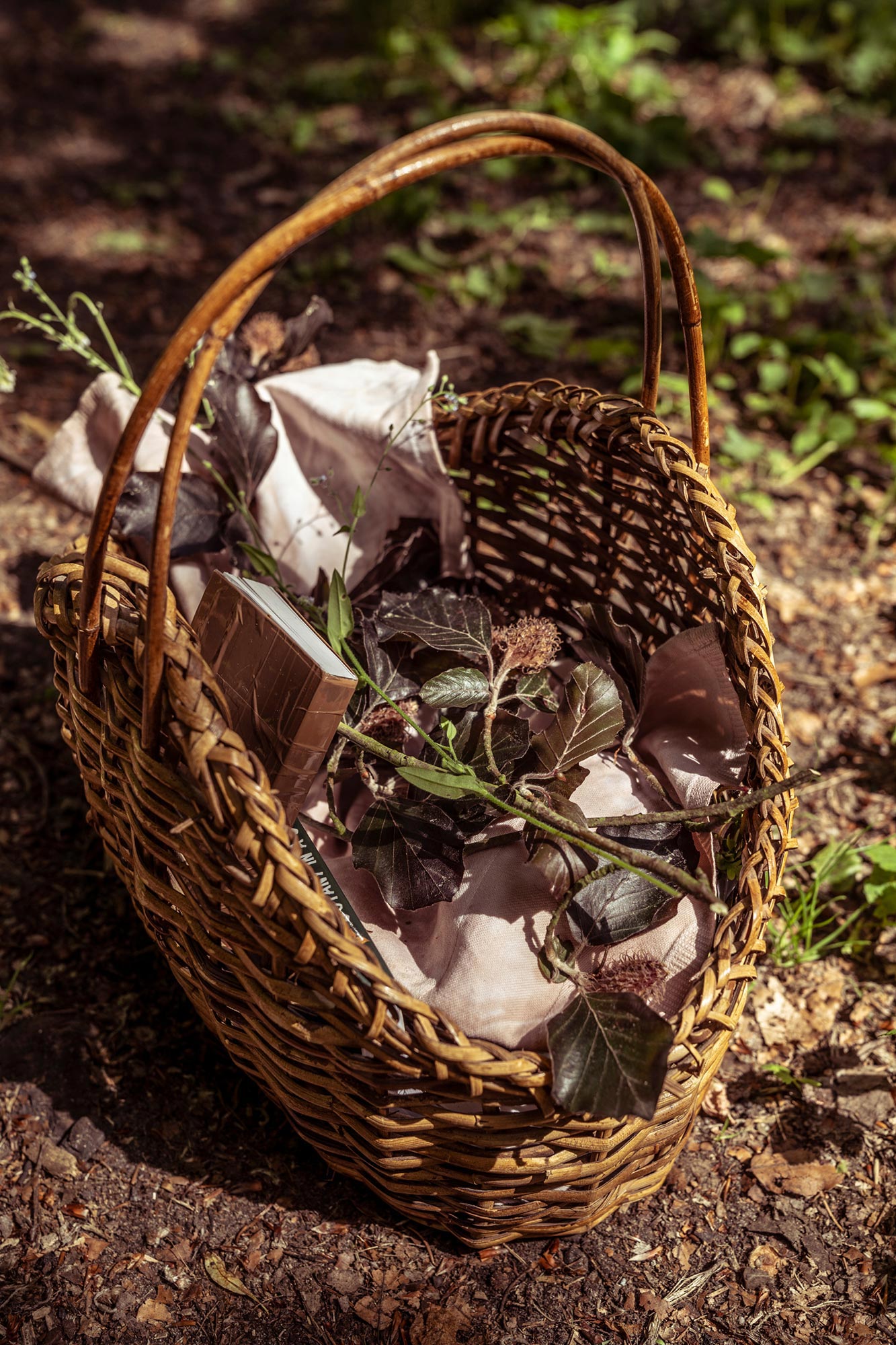 Foraging in the countryside near Berlin