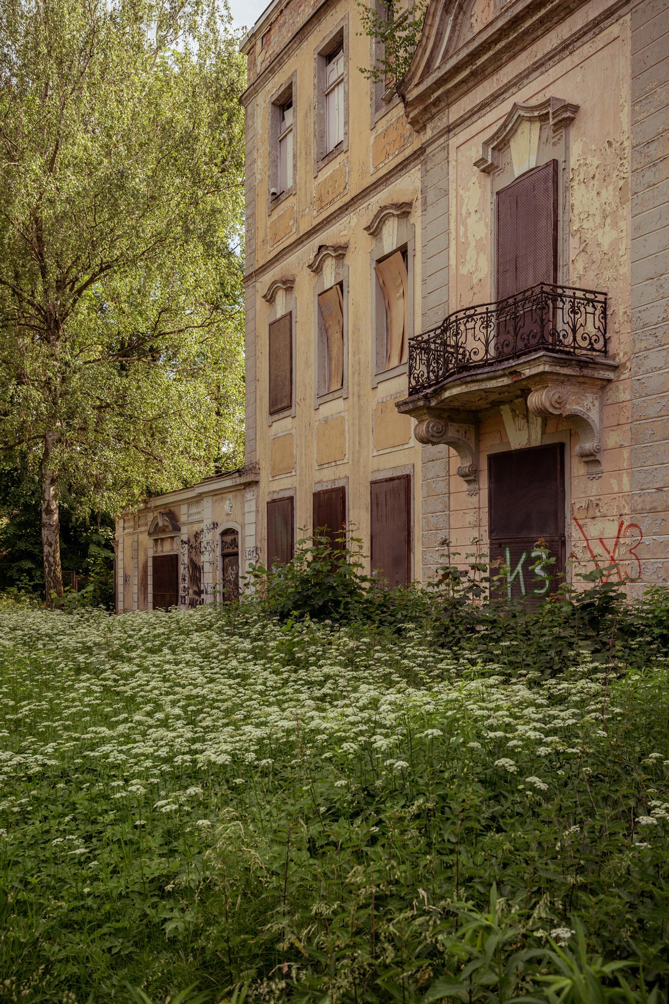 Foraging in the countryside near Berlin