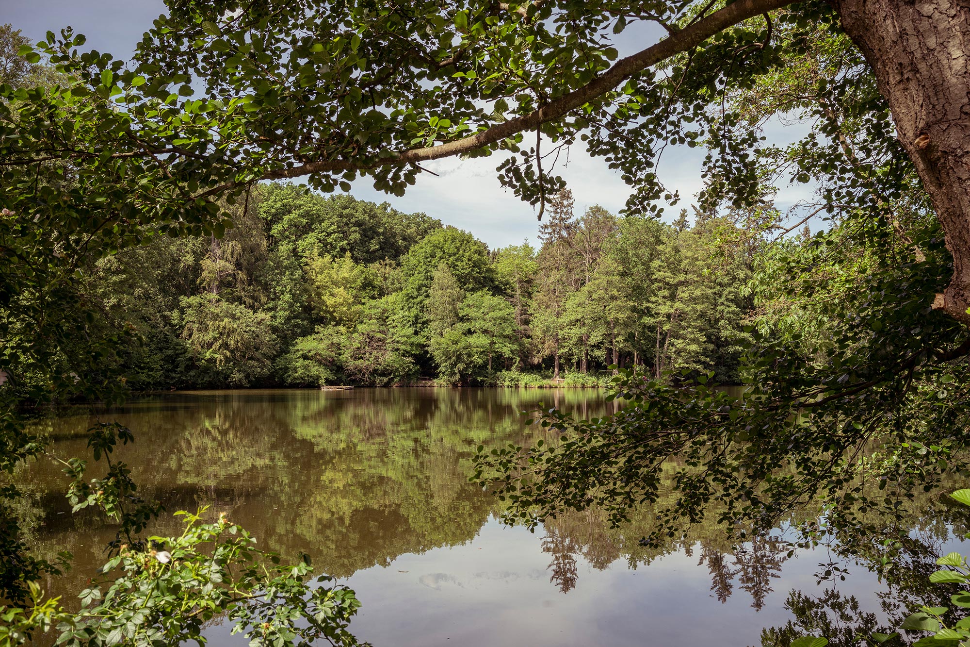 Countryside near Berlin