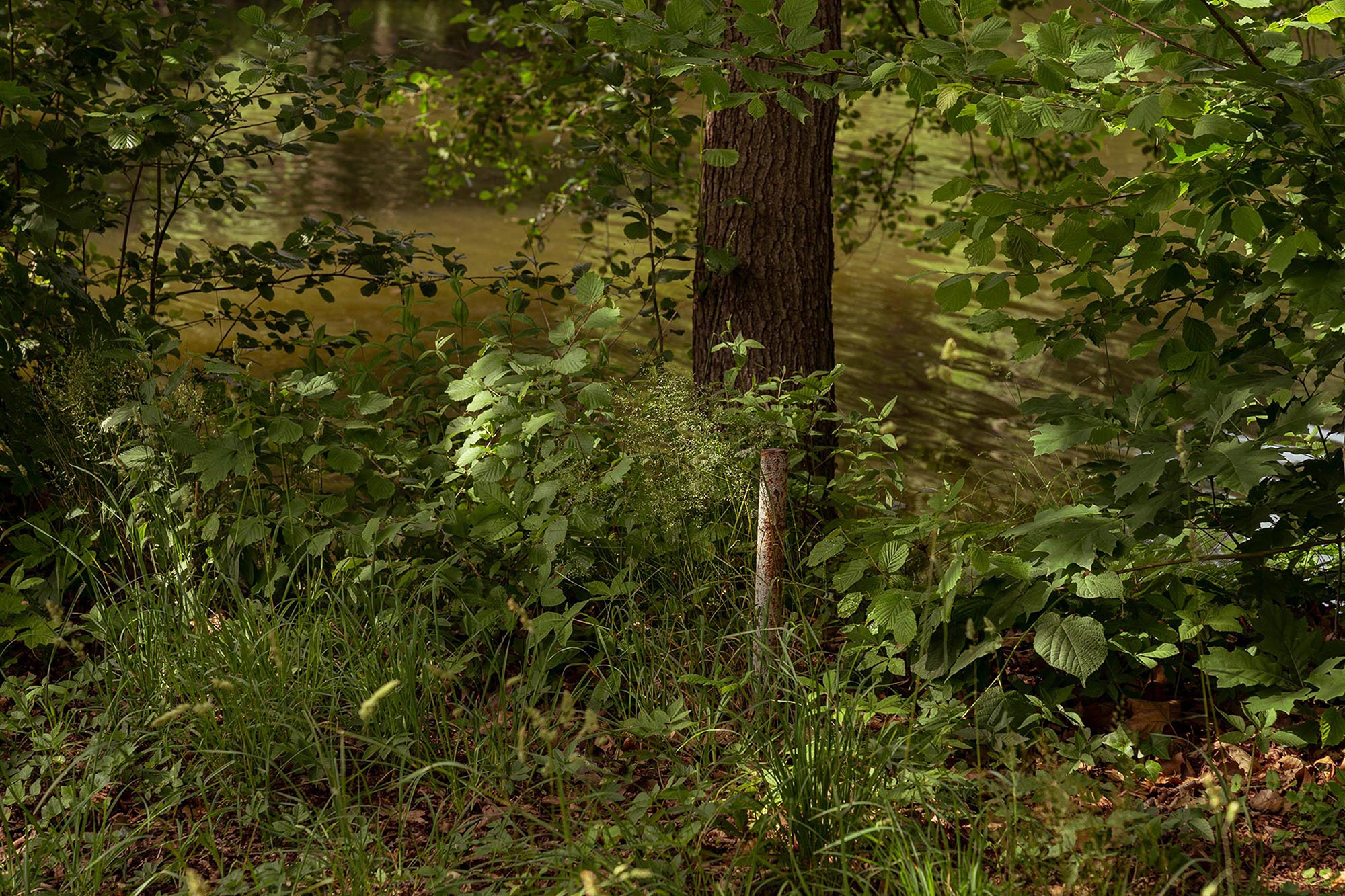 Brandenburg countryside