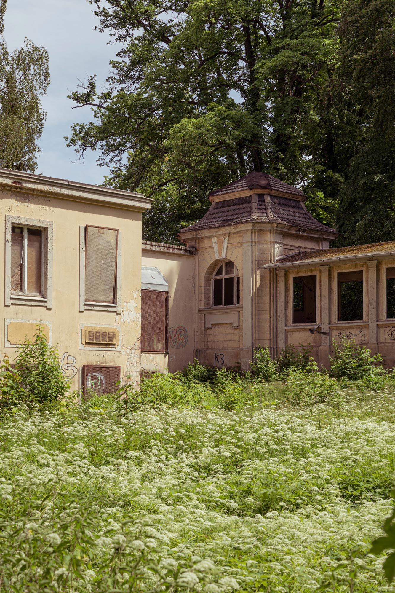 Foraging at Dhamsmuhlen Schloss